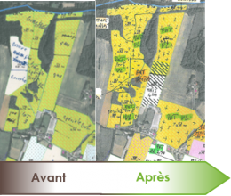 changement d'assolement : avant/après changement d'assolement : avant/après