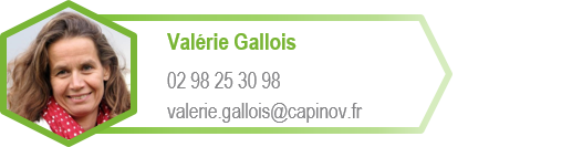 Contact formations capinov Contact formations capinov