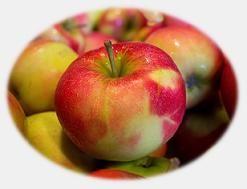 Analyse de mycotoxine sur pommes