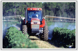 Analyse herbicide