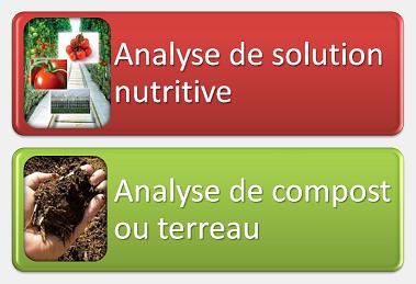 Analyse de support de culture Analyse de support de culture