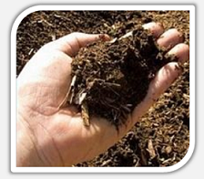 Analyse compost Analyse compost