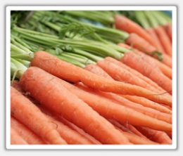 Analyse de terre de potager et de jardin Analyse de terre de potager et de jardin
