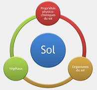Analyse de sol de jardin et de potager Analyse de sol de jardin et de potager