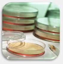 Analyser les mycotoxines Analyser les mycotoxines