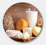 Analyse de mycotoxine dans l'alimentation Analyse de mycotoxine dans l'alimentation