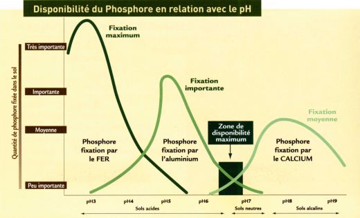 laboratoire d'analyse de terre - analyse de sol - laboratoire cofrac certifié ISO 9001:2008 laboratoire d'analyse de terre - analyse de sol - laboratoire cofrac certifié ISO 9001:2008