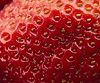 Glucides - Laboratoire Capinov Glucides - Laboratoire Capinov