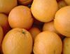 Vitamines - Laboratoire Capinov Vitamines - Laboratoire Capinov