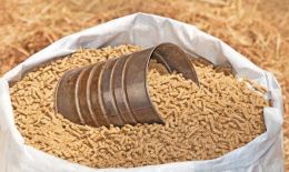 Granulés pour alimentation équine Granulés pour alimentation équine