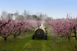 laboratoire d'analyse d'insecticides - analyse de pesticides - analyse organochloré - analyse organophosphoré - analyse pyrthrinïde laboratoire d'analyse d'insecticides - analyse de pesticides - analyse organochloré - analyse organophosphoré - analyse pyrthrinïde