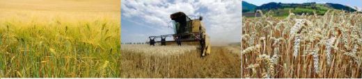 Laboratoire d'analyse d'insecticide - laboratoire d'analyse cofrac Laboratoire d'analyse d'insecticide - laboratoire d'analyse cofrac