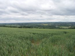 laboratoire d'analyse de pesticide - analyse régulateur de croissance - laboratoire cofrac laboratoire d'analyse de pesticide - analyse régulateur de croissance - laboratoire cofrac