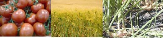 laboratoire d'analyse régulateur de croissance - laboratoire d'analyse cofrac laboratoire d'analyse régulateur de croissance - laboratoire d'analyse cofrac