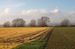 laboratoire d'analyse d'herbicide - analyse glyphosate et AMPA laboratoire d'analyse d'herbicide - analyse glyphosate et AMPA