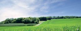 analyse de mycotoxine de champs - laboratoire cofrac analyse de mycotoxine de champs - laboratoire cofrac