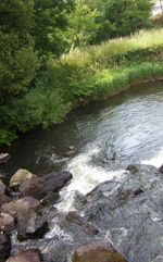 Eau et effluent Eau et effluent