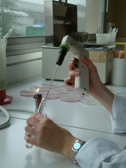 Analyse bactériologie aliment Analyse bactériologie aliment