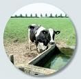 analyse eau potable analyse eau potable