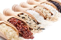 laboratoire d'analyse de mycotoxine de champs - analyse de zéaralènone - laboratoire cofrac laboratoire d'analyse de mycotoxine de champs - analyse de zéaralènone - laboratoire cofrac