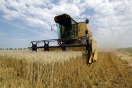 laboratoire d'analyse organochloré - analyse d'insecticide -laboratoire cofrac laboratoire d'analyse organochloré - analyse d'insecticide -laboratoire cofrac