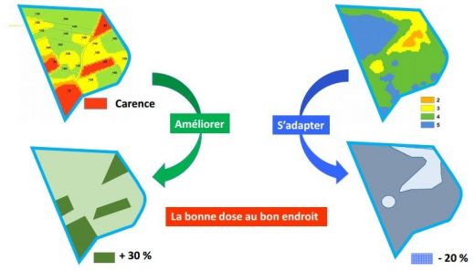 be Api by Triskalia : am&eacute;liorer / adapter