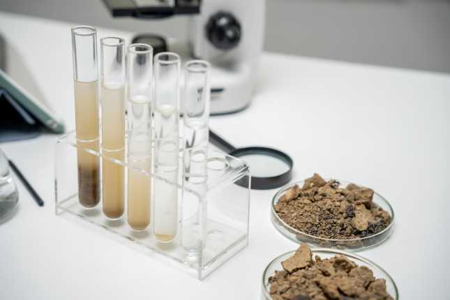 Transmettez vos demandes d'analyse au laboratoire Capinov &agrave; Landerneau