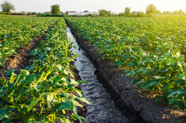 Analyses pour l'agriculture et le secteur alimentaire