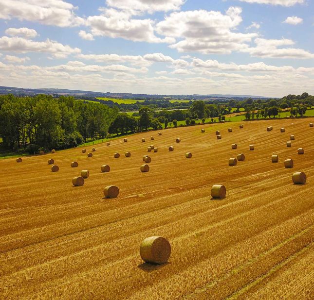 Les th&eacute;matiques d'analyse du laboratoire Capinov, pour l'agriculture et l'alimentaire