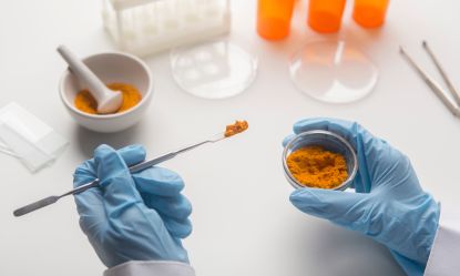 S&eacute;curit&eacute; des Aliments