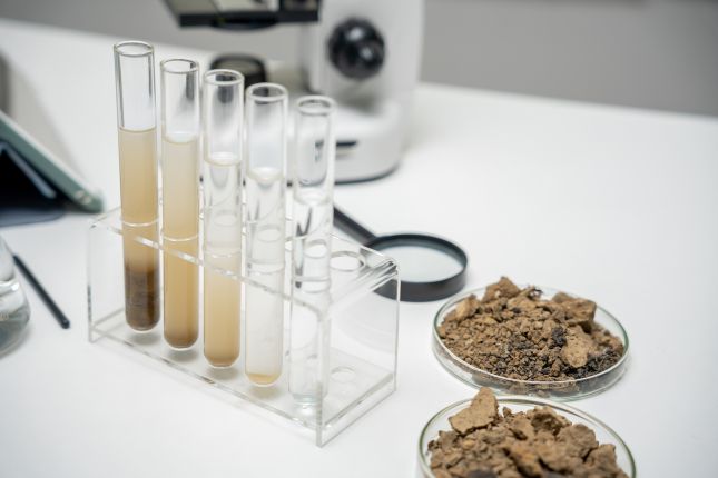 Transmettez vos demandes d'analyse au laboratoire Capinov &agrave; Landerneau